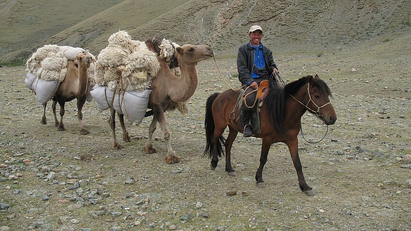 Ein Mann reitet lächelnd auf einem braunen, gesattelten Pferd. Hinter ihm gehen zwei hellbraune Kamele. Er führt die Kamele über ein Seil.